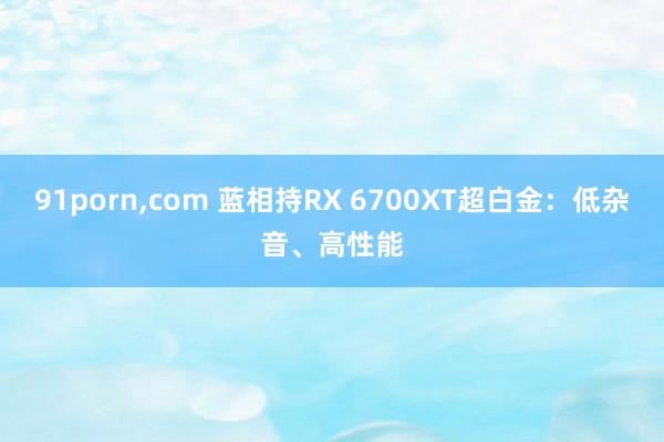 91porn，com 蓝相持RX 6700XT超白金：低杂音、高性能