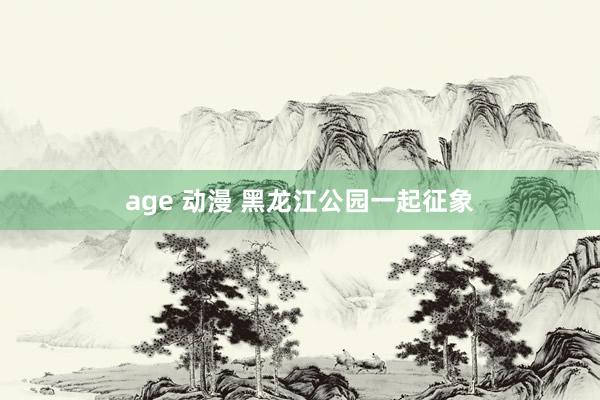 age 动漫 黑龙江公园一起征象