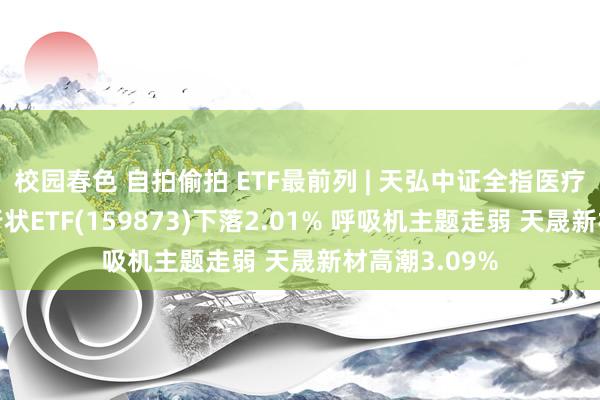 校园春色 自拍偷拍 ETF最前列 | 天弘中证全指医疗保健开辟与行状ETF(159873)下落2.01% 呼吸机主题走弱 天晟新材高潮3.09%