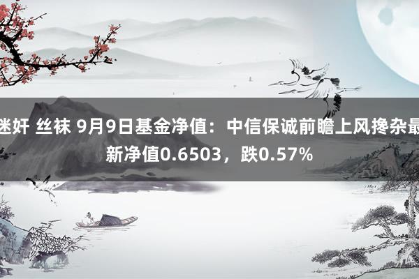 迷奸 丝袜 9月9日基金净值：中信保诚前瞻上风搀杂最新净值0.6503，跌0.57%