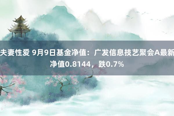 夫妻性爱 9月9日基金净值：广发信息技艺聚会A最新净值0.8144，跌0.7%