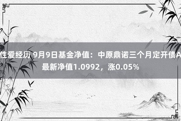 性爱经历 9月9日基金净值：中原鼎诺三个月定开债A最新净值1.0992，涨0.05%