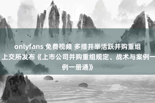 onlyfans 免费视频 多措并举活跃并购重组阛阓，上交所发布《上市公司并购重组规定、战术与案例一册通》