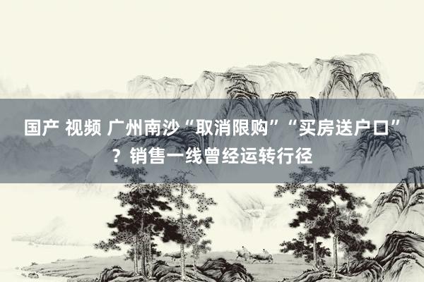 国产 视频 广州南沙“取消限购”“买房送户口”？销售一线曾经运转行径