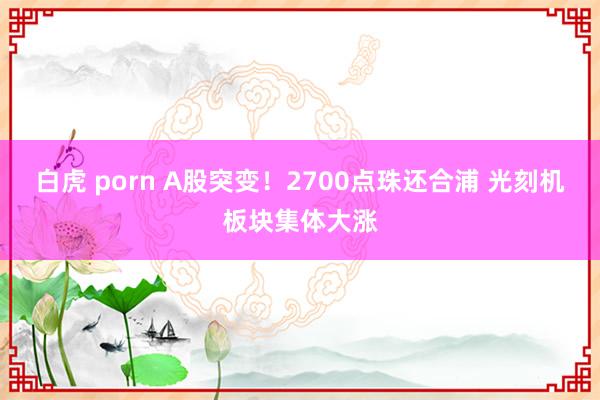 白虎 porn A股突变！2700点珠还合浦 光刻机板块集体大涨