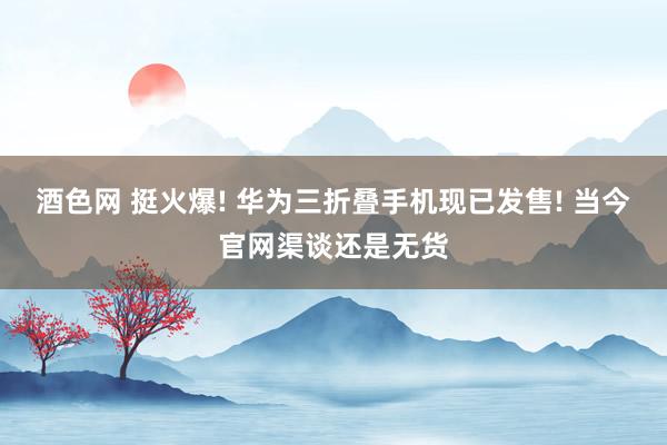 酒色网 挺火爆! 华为三折叠手机现已发售! 当今官网渠谈还是无货