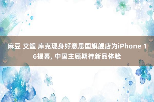 麻豆 艾鲤 库克现身好意思国旗舰店为iPhone 16揭幕， 中国主顾期待新品体验