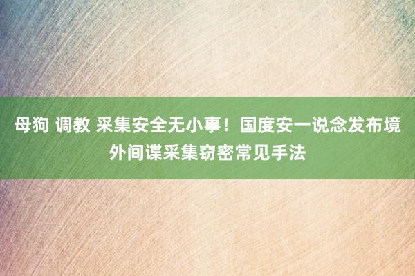 母狗 调教 采集安全无小事！国度安一说念发布境外间谍采集窃密常见手法