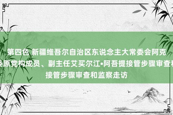 第四色 新疆维吾尔自治区东说念主大常委会阿克苏地区工委原党构成员、副主任艾买尔江•阿吾提接管步骤审查和监察走访