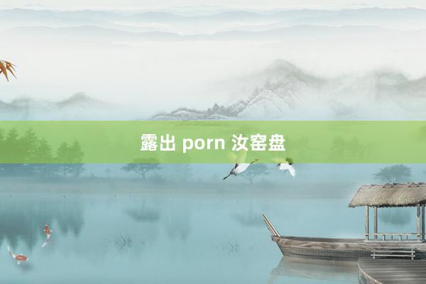 露出 porn 汝窑盘