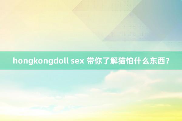 hongkongdoll sex 带你了解猫怕什么东西？