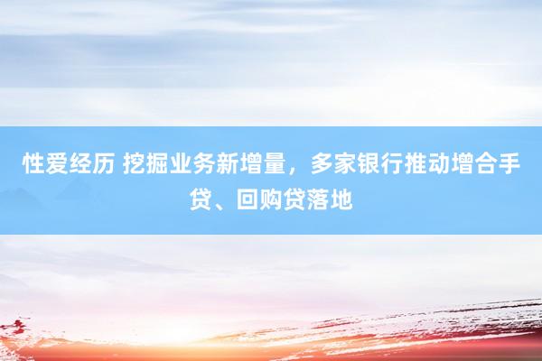 性爱经历 挖掘业务新增量，多家银行推动增合手贷、回购贷落地