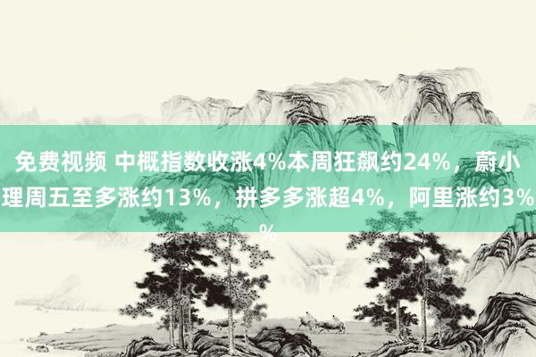 免费视频 中概指数收涨4%本周狂飙约24%，蔚小理周五至多涨约13%，拼多多涨超4%，阿里涨约3%