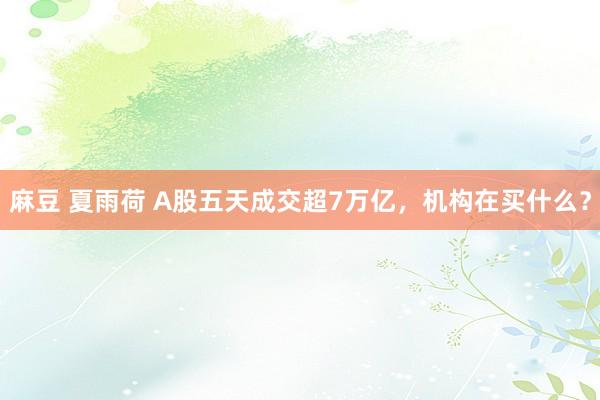 麻豆 夏雨荷 A股五天成交超7万亿，机构在买什么？