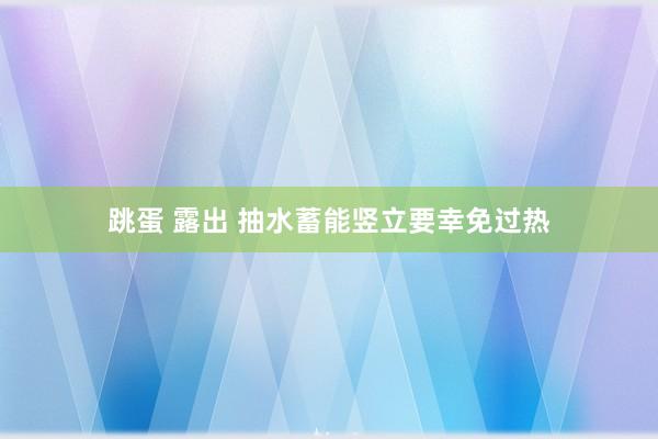 跳蛋 露出 抽水蓄能竖立要幸免过热