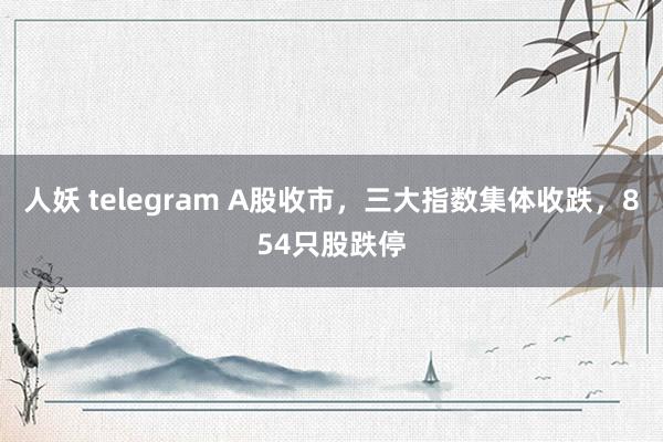 人妖 telegram A股收市，三大指数集体收跌，854只股跌停