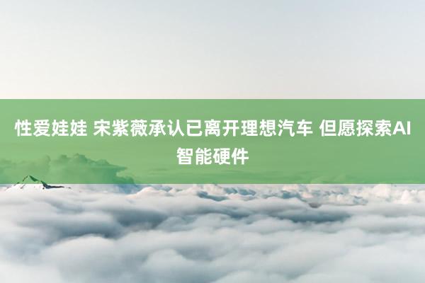 性爱娃娃 宋紫薇承认已离开理想汽车 但愿探索AI智能硬件