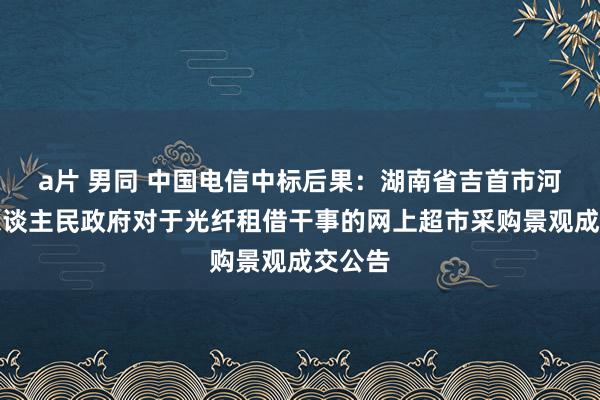 a片 男同 中国电信中标后果：湖南省吉首市河溪镇东谈主民政府对于光纤租借干事的网上超市采购景观成交公告