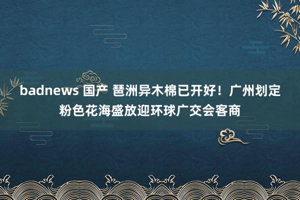 badnews 国产 琶洲异木棉已开好！广州划定粉色花海盛放迎环球广交会客商