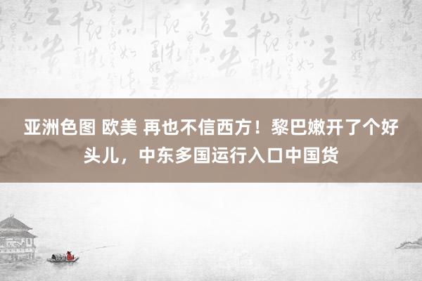 亚洲色图 欧美 再也不信西方！黎巴嫩开了个好头儿，中东多国运行入口中国货