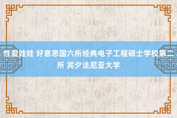 性爱娃娃 好意思国六所经典电子工程硕士学校第二所 宾夕法尼亚大学