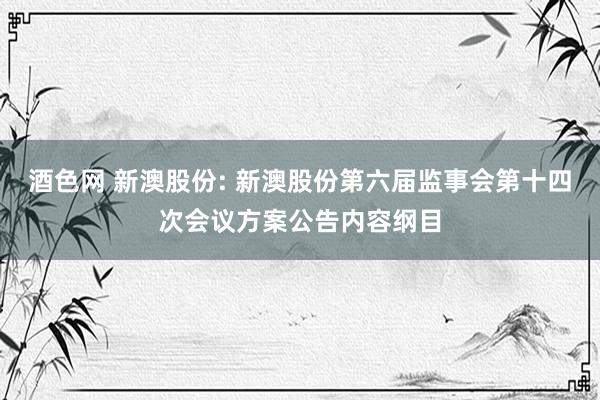 酒色网 新澳股份: 新澳股份第六届监事会第十四次会议方案公告内容纲目