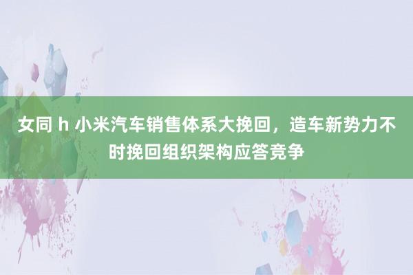 女同 h 小米汽车销售体系大挽回，造车新势力不时挽回组织架构应答竞争