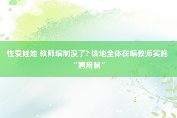 性爱娃娃 教师编制没了? 该地全体在编教师实施 “聘用制”