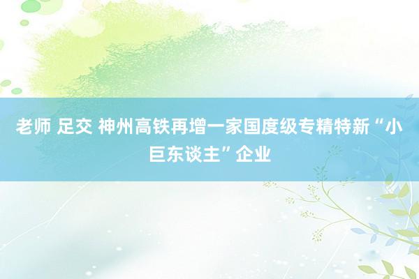 老师 足交 神州高铁再增一家国度级专精特新“小巨东谈主”企业