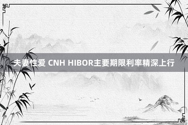 夫妻性爱 CNH HIBOR主要期限利率精深上行