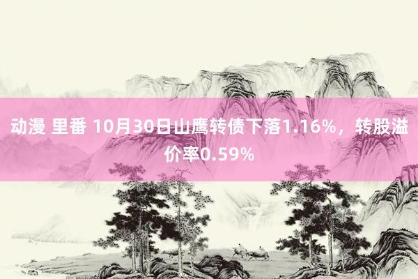 动漫 里番 10月30日山鹰转债下落1.16%，转股溢价率0.59%