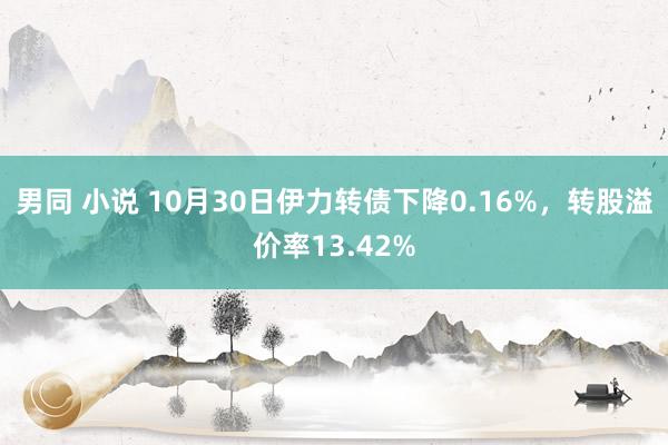 男同 小说 10月30日伊力转债下降0.16%，转股溢价率13.42%