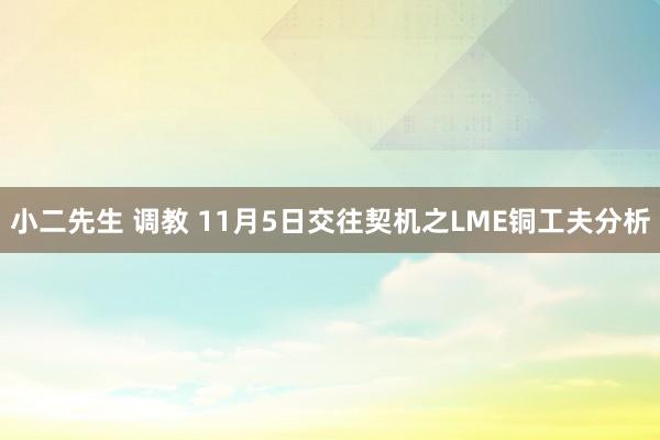 小二先生 调教 11月5日交往契机之LME铜工夫分析