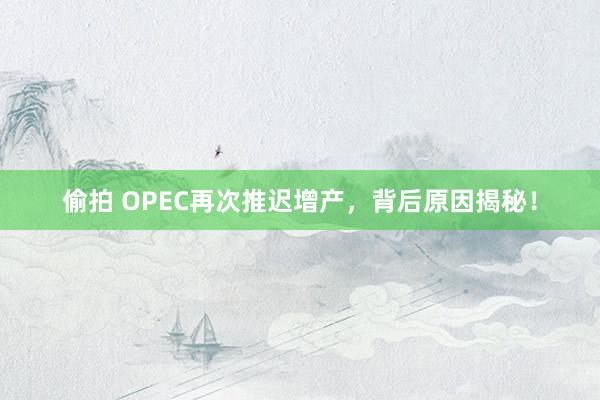 偷拍 OPEC再次推迟增产，背后原因揭秘！