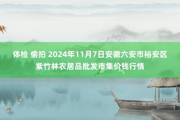 体检 偷拍 2024年11月7日安徽六安市裕安区紫竹林农居品批发市集价钱行情