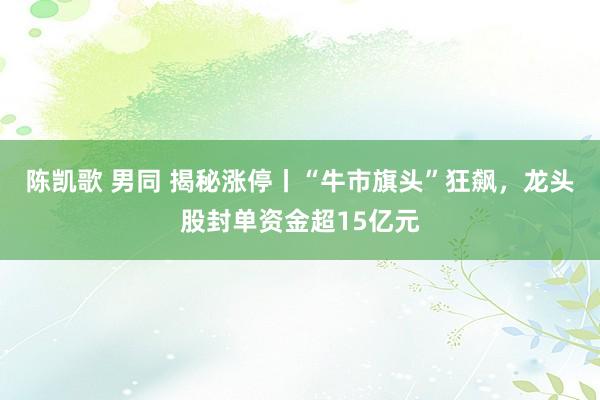 陈凯歌 男同 揭秘涨停丨“牛市旗头”狂飙，龙头股封单资金超15亿元