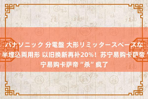 パナソニック 分電盤 大形リミッタースペースなし 露出・半埋込両用形 以旧换新再补20%！苏宁易购卡萨帝“杀”疯了