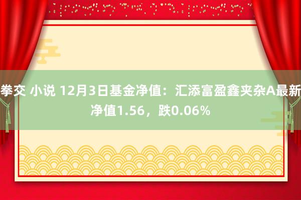 拳交 小说 12月3日基金净值：汇添富盈鑫夹杂A最新净值1.56，跌0.06%