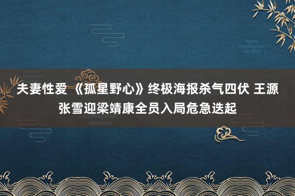 夫妻性爱 《孤星野心》终极海报杀气四伏 王源张雪迎梁靖康全员入局危急迭起