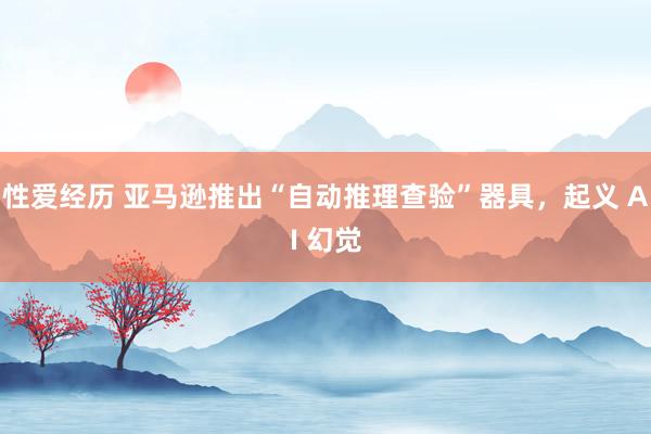 性爱经历 亚马逊推出“自动推理查验”器具，起义 AI 幻觉