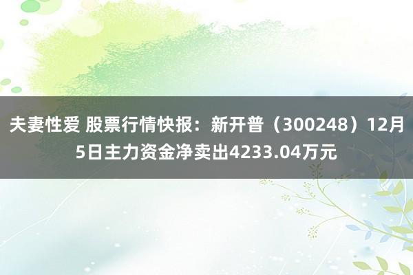 夫妻性爱 股票行情快报：新开普（300248）12月5日主力资金净卖出4233.04万元