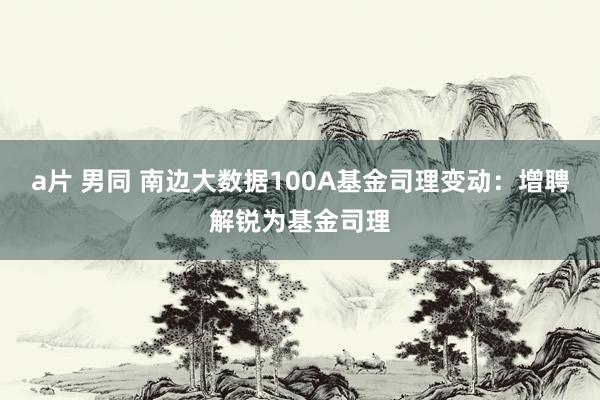 a片 男同 南边大数据100A基金司理变动：增聘解锐为基金司理