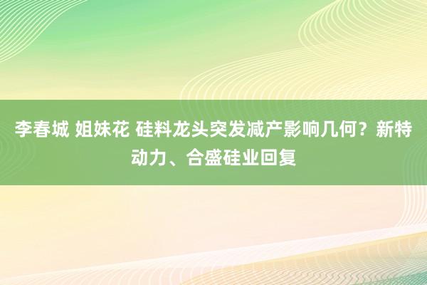 李春城 姐妹花 硅料龙头突发减产影响几何？新特动力、合盛硅业回复