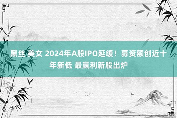 黑丝 美女 2024年A股IPO延缓！募资额创近十年新低 最赢利新股出炉