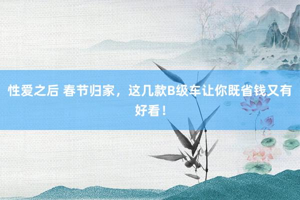 性爱之后 春节归家，这几款B级车让你既省钱又有好看！