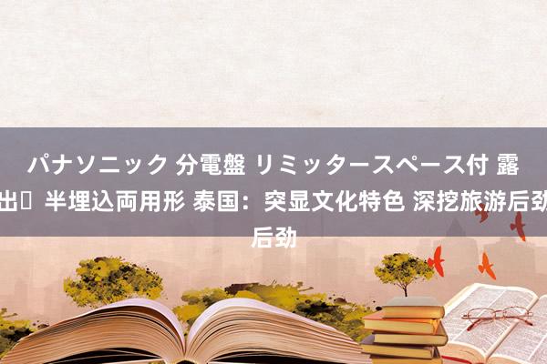 パナソニック 分電盤 リミッタースペース付 露出・半埋込両用形 泰国：突显文化特色 深挖旅游后劲