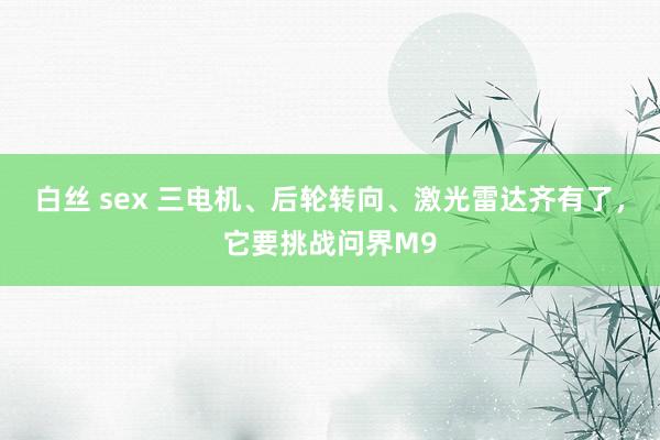 白丝 sex 三电机、后轮转向、激光雷达齐有了，它要挑战问界M9