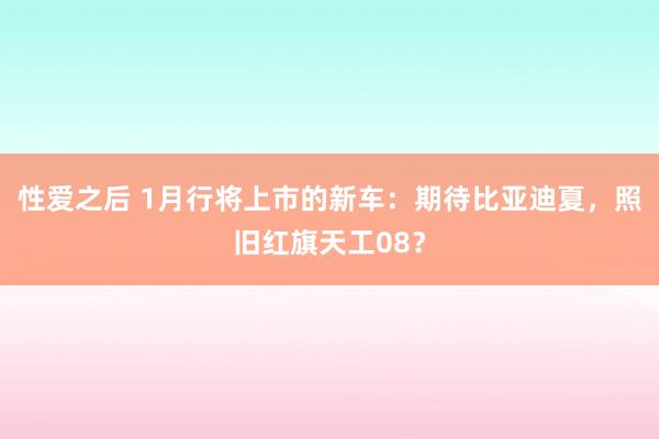 性爱之后 1月行将上市的新车：期待比亚迪夏，照旧红旗天工08？