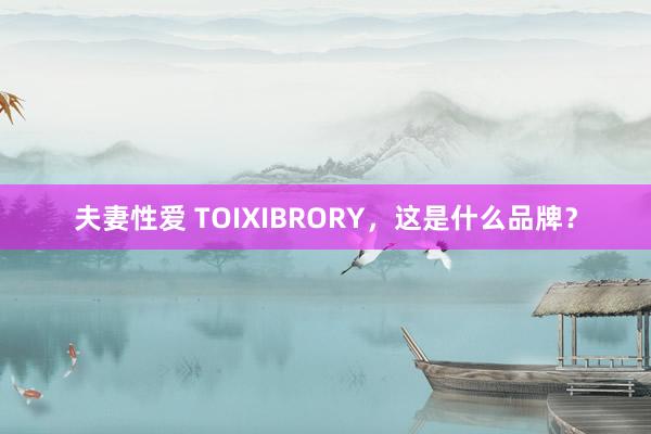 夫妻性爱 TOIXIBRORY，这是什么品牌？