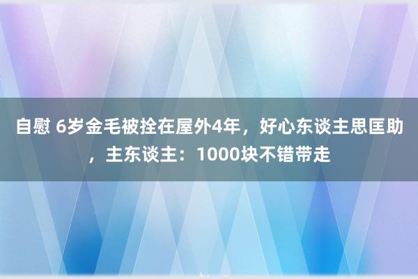 自慰 6岁金毛被拴在屋外4年，好心东谈主思匡助，主东谈主：1000块不错带走